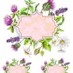 UNIVERSAL TRANSFER COLLECTION UTC-019 25X35