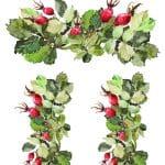 UNIVERSAL TRANSFER COLLECTION UTC-020 25X35