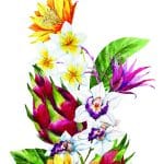 EVRENSEL TRANSFER KOLEKSİYONU UTC-021 25X35