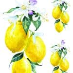 EVRENSEL TRANSFER KOLEKSİYONU UTC-023 25X35