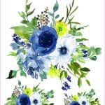 SULUBOYA KOLAY TRANSFER KOLEKSİYON WCTC-06 35X50