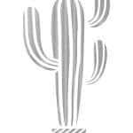 VARAK KUMAŞ GÜMÜŞ TRANSFER VT-003 21X30