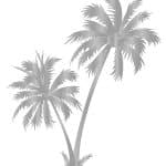 VARAK KUMAŞ GÜMÜŞ TRANSFER VT-004 21X30