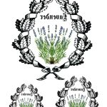 Joy of Life Kolay Transfer JLET-08