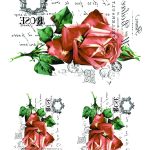 Joy of Life Easy Transfer JLET-16