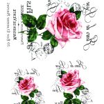 Joy of Life Easy Transfer JLET-18