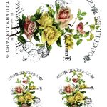 Joy of Life Kolay Transfer JLET-19