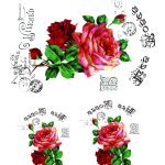 Joy of Life Easy  Transfer JLET-20