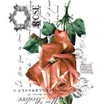 Joy of Life Kumaş Transfer JLFT-16