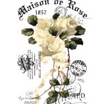 Joy of Life Fabric Transfer JLFT-17