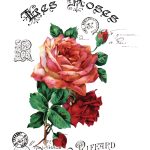 Joy of Life Kumaş Transfer JLFT-20