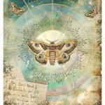 Fantastik Dünya Pirinç Kağıt Model 1237 30X42