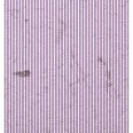 Background Rice Paper Model 1052 30X42