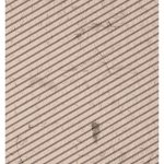 Background Rice Paper Model 1098 30X42