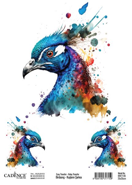 BirdSong Collection Easy Transfer BRET-05 25x35