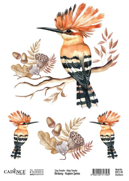 BirdSong Collection Easy Transfer BRET-06 25x35
