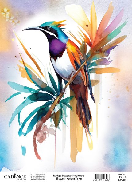 BirdSong Collection Decoupage Rice Paper BRRP-03 25x35