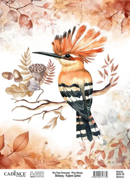 BirdSong Collection Decoupage Rice Paper BRRP-06 25x35