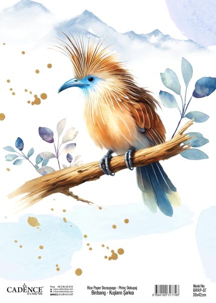 BirdSong Collection Decoupage Rice Paper BRRP-07 25x35