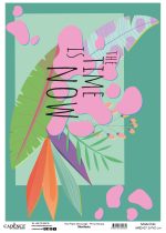 Manifesto - Image 8