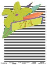 Manifesto - Görsel 8